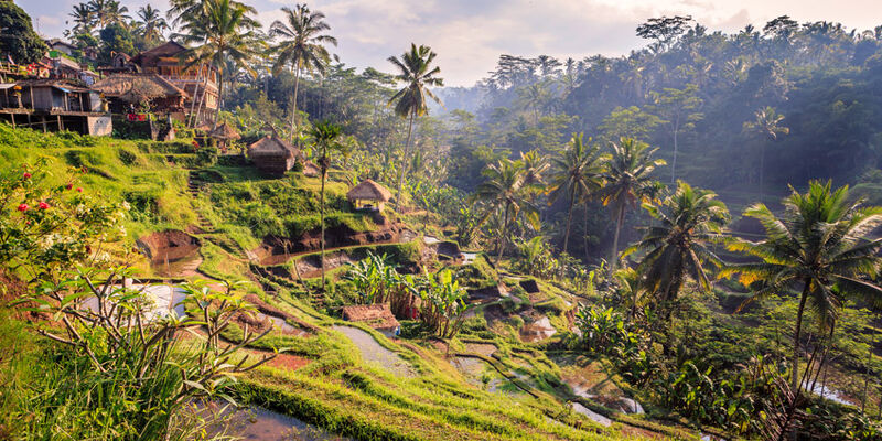 Bangkok & Bali & Ubud Otantik Rotalar Turu | Türk Havayolları ile