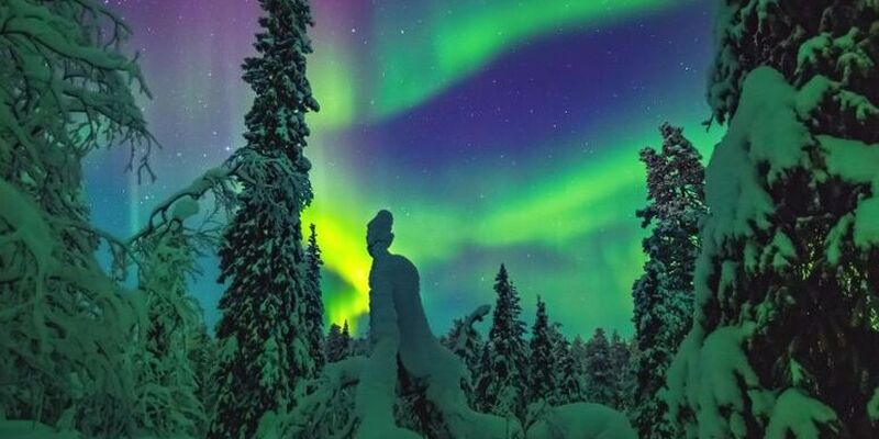 Yılbaşı Özel Lapland Turu | Husky Ve Ren Geyiği Safarisi Dahil