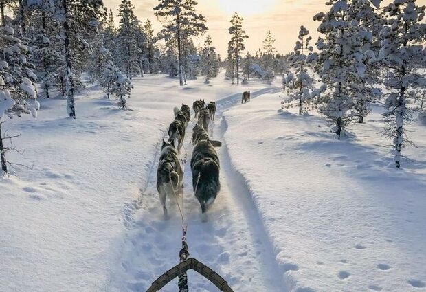 Yılbaşı Özel Lapland Turu | Husky Ve Ren Geyiği Safarisi Dahil