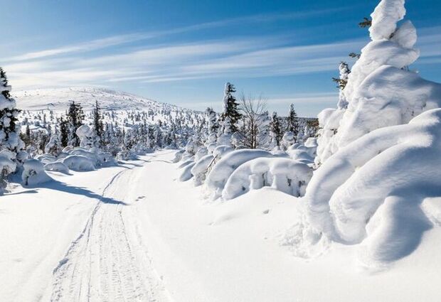 Yılbaşı Özel Lapland Turu | Husky Ve Ren Geyiği Safarisi Dahil