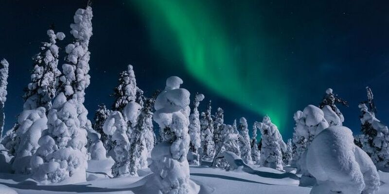 Yılbaşı Özel Lapland Turu | Husky Ve Ren Geyiği Safarisi Dahil