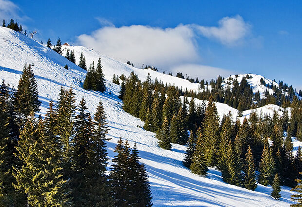 Yılbaşı Özel Jahorina Kayak Turu | THY ile 3 Gece Konaklama