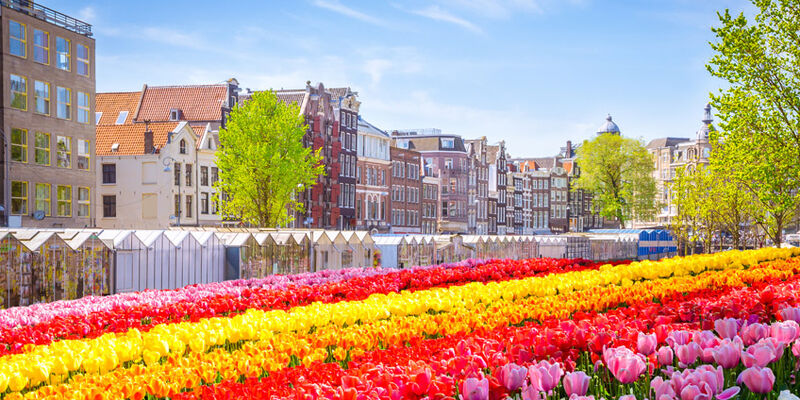 Elegant Benelux & Alsace & Paris Turu (Ajet Havayolları ile) (7 Gece 8 Gün) (BSL-AMS)