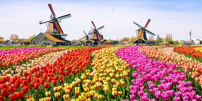 Elegant Benelux & Alsace & Paris Turu (Ajet Havayolları ile) (7 Gece 8 Gün) (BSL-AMS)