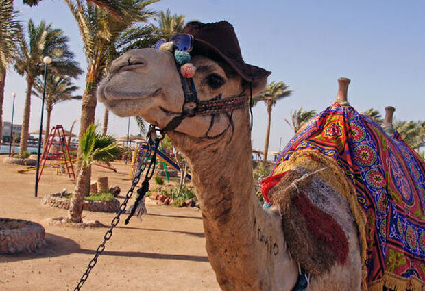 İstanbul Hareketli Ajet ile Promosyon Hurghada Turu - 4 Gece