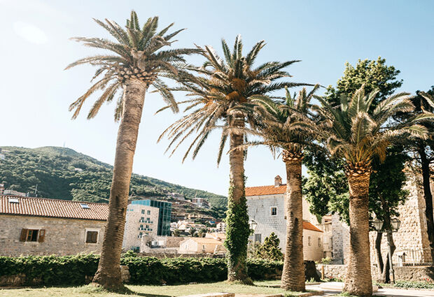 İzmir'den Direkt Sefer ile Budva Rotası Turu | Pegasus ile 3 Gece