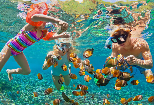 Phuket (SQ) (2025) (HKT-HKT)