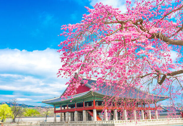 Japonya & Kore Turu Mistik Rotalar