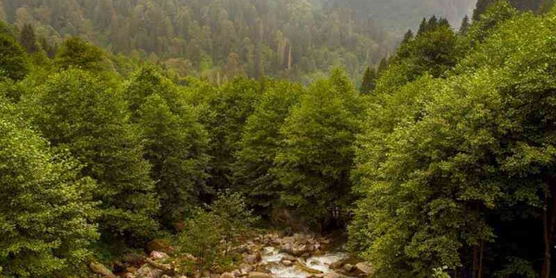 Kurban Bayramı Özel Bursa Çıkışlı Karadeniz Rüyası ve Batum Turu 5 Gece Otel Konaklaması