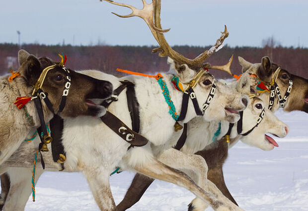 Ankara Çıkışlı Dolu Dolu Lapland Sömestre Özel