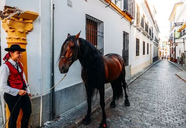 Mega Portekiz & Endülüs & İspanya Turu Pegasus Havayolları ile 7 Gece