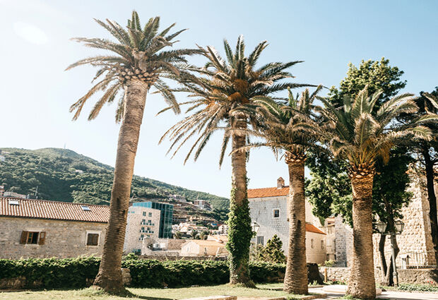 Budva Rüyası Turu (Air Montenegro HY ile - 4 Gece 5 Gün) (TGD-TGD)