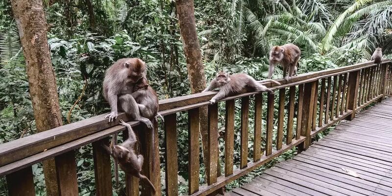 Bali Ve Phuket İle Fenomen Uzak Doğu Turu (Singapore Airlines ile) (9 Gece)