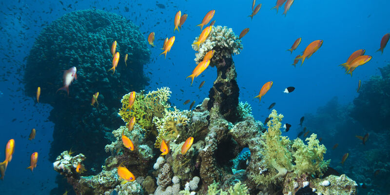 İstanbul Hareketli Ajet ile Sharm El Sheikh Turu - 3 Gece