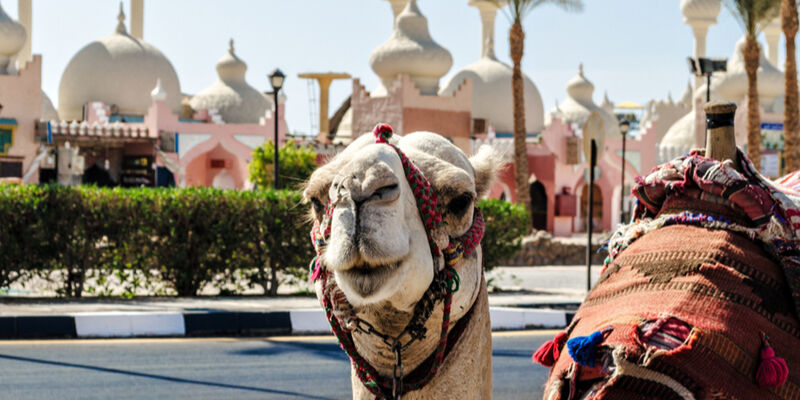 SunExpress ile Ankara Hareketli Kahire Sharm El Sheikh Turu - 8 Gece