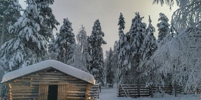 Süper Promo Lapland Turu Beyaz Rotalar - 3 Gece